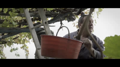 Border Wine - Documental completo