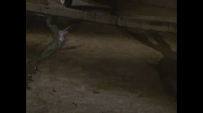 Ultraman 05 il fiore assasino