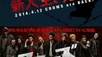 Crows Explode