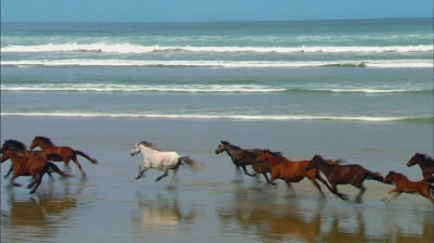 정읍다방레지??【상담톡 YON26】다방아줌마|정읍커피배달 정읍조건만남 정읍티켓다방 정읍모텔출장