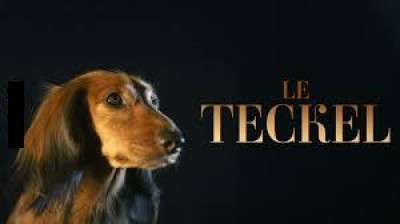 Le teckel