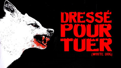 Dressé pour tuer  White Dog  1982 (DEMANDE DE UP)