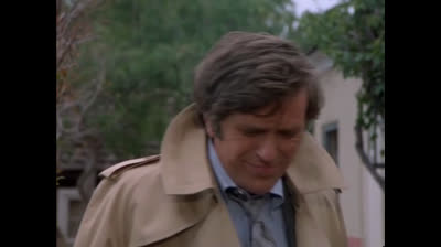 L incredibile Hulk 03x21