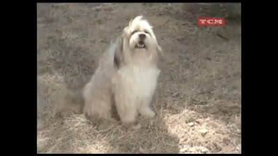 Os Pioneiros - EPISÓDIO 20