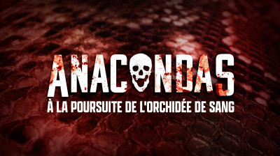 Anacondas : À la poursuite de l'orchidée de sang 2004