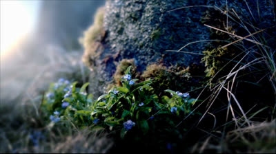 Saison 01-Épisode 01 Sassenach (Sassenach)