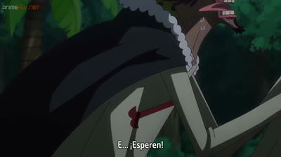 One piece capitulo 1142